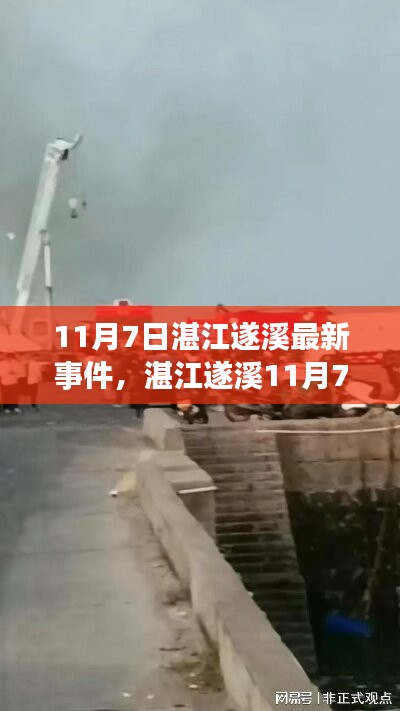 湛江遂溪11月7日事件全解析，初识到深入了解的步骤指南