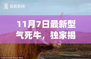 橘虞初梦 第28页