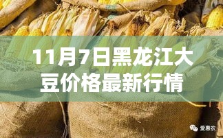 新闻中心 第312页