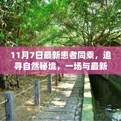 营销网络 第312页