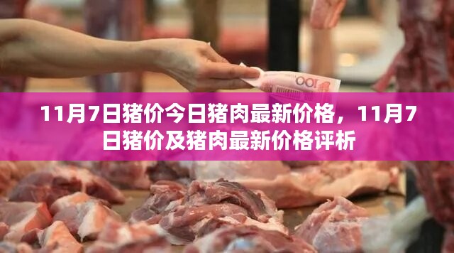 在线留言 第307页