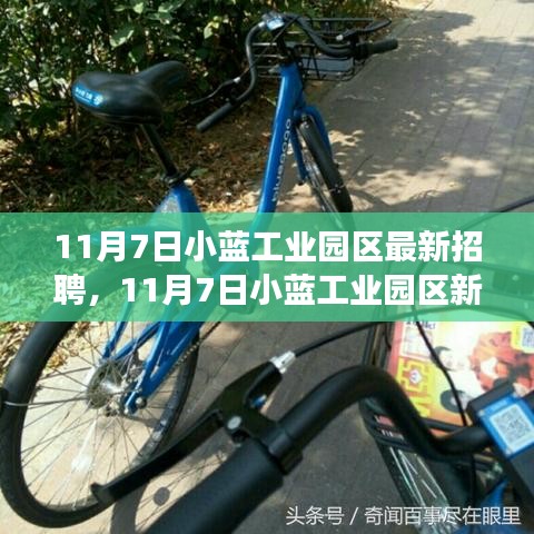 11月7日小蓝工业园区新招聘启事，变化与成长，学习与自信的力量