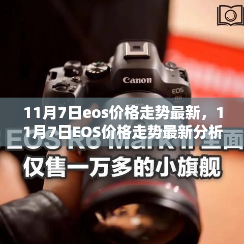 新闻中心 第308页