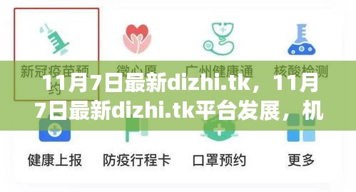 11月7日最新dizhi.tk平台，机遇与挑战并存的发展之路