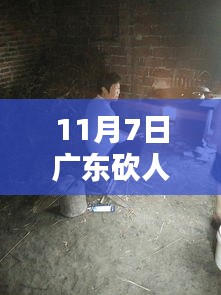 广东再现悲剧，深度解析2017年11月7日砍人案内幕