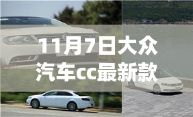 初告白 第30页