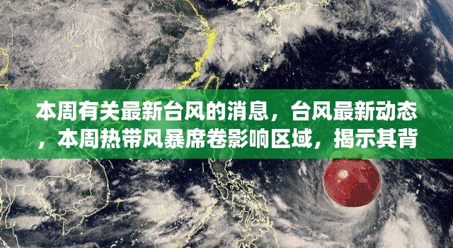 虎视眈眈 第26页