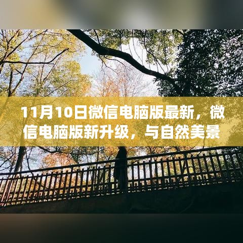 微信电脑版全新升级，与自然美景共舞的心灵之旅启动