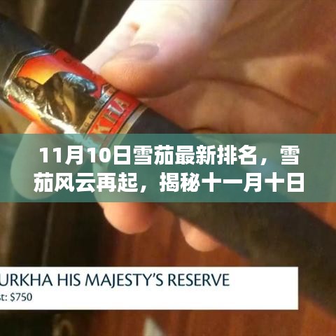 在线留言 第283页