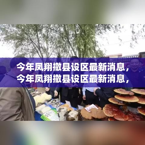 星星打烊 第24页