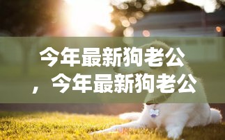 虎视眈眈 第24页