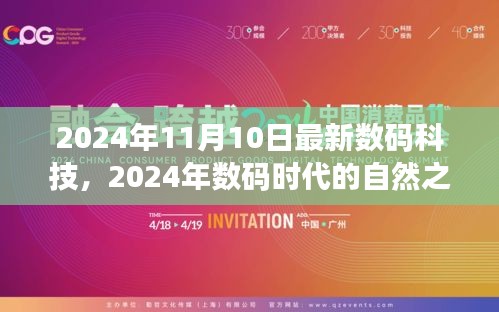 探索美景与内心平静，数码时代自然之旅的启示