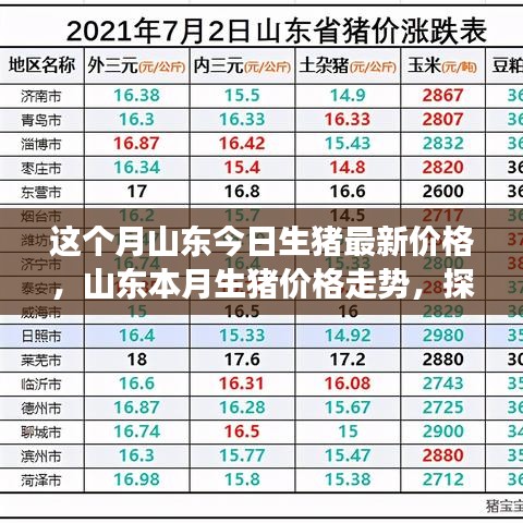 山东本月生猪价格走势揭秘，最新价格与背后影响因素探究