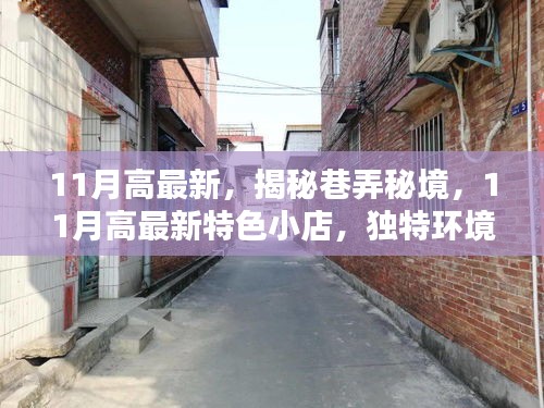 张牙舞爪 第24页