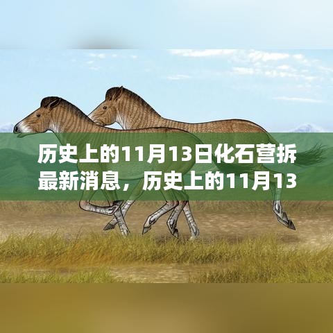 历史上的11月13日，化石营拆除最新进展与消息