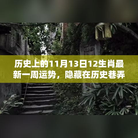 新闻中心 第271页