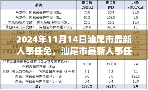 文质彬彬 第16页