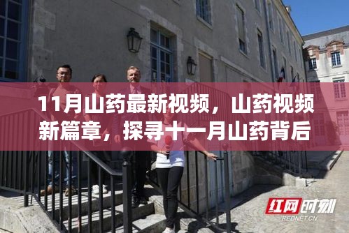 探寻十一月山药背后的故事与影响力，山药视频新篇章揭秘！