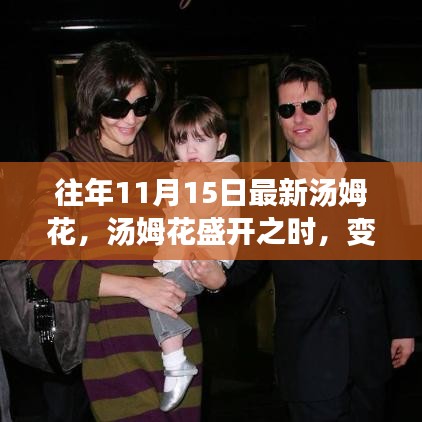 汤姆花盛开之际，变化、学习与自信的力量闪耀展现