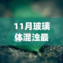 探索自然美景之旅，揭秘最新治疗玻璃体混浊特效药，寻找心灵的宁静与宁静之旅