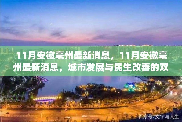 走马观花 第17页