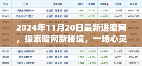 橘虞初梦 第15页