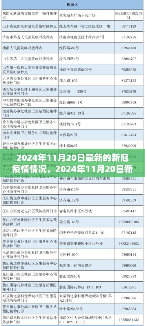 某某视角下的新冠疫情最新形势分析，2024年11月20日最新动态