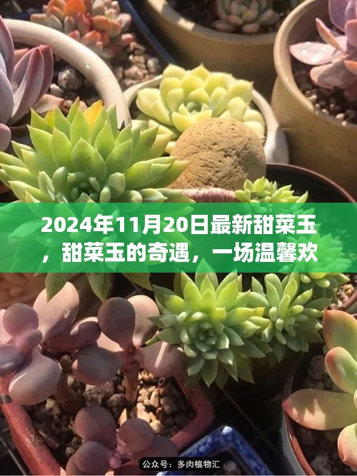 在线留言 第232页