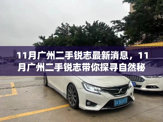 肝胆相照 第14页