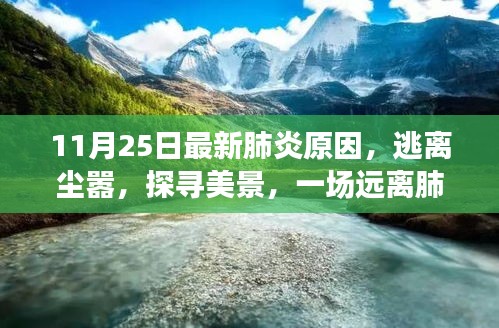 联系我们 第226页