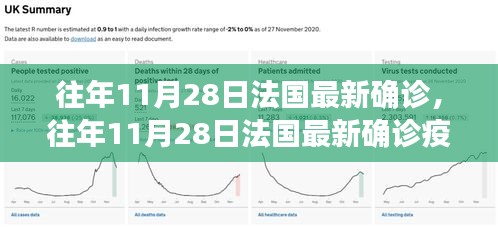 往年11月28日法国最新确诊，往年11月28日法国最新确诊疫情分析，观点阐述与深度解读