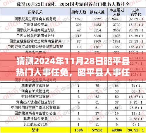 风驰电掣 第13页