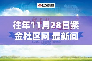 往年11月28日紫金社区网 最新闻，紫金社区网最新闻回顾，11月28日的独特印记与影响