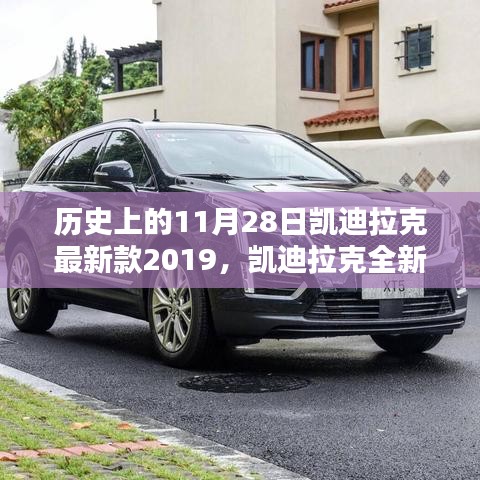 没精打采 第13页