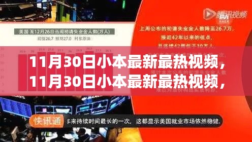 11月30日小本最新最热视频，深度解析与观点立场探讨