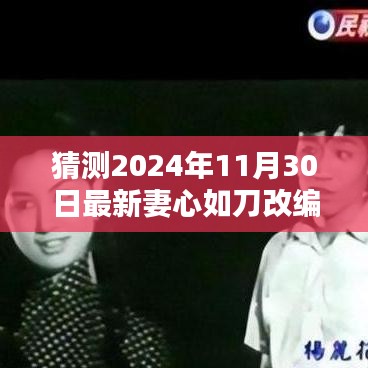 猜测2024年11月30日最新妻心如刀改编，探索未知领域，关于猜测2024年11月30日最新妻心如刀改编的深度解析