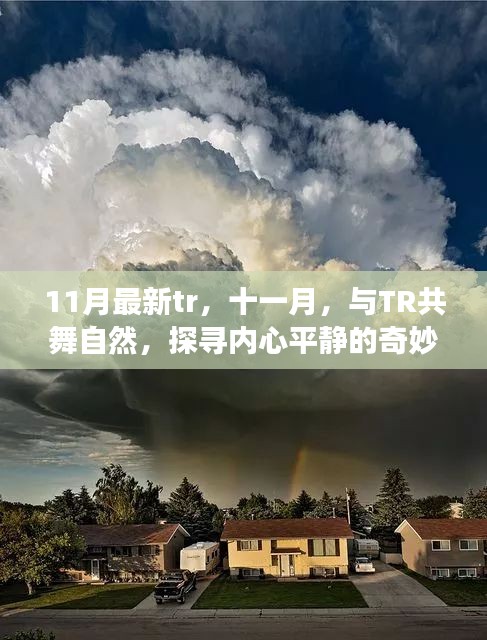 星星打烊 第12页