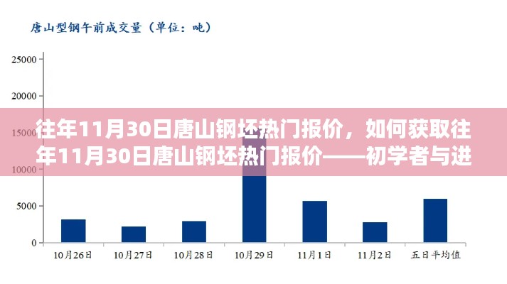 获取往年11月30日唐山钢坯热门报价，初学者与进阶用户指南详解
