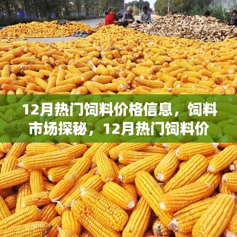 第1237页