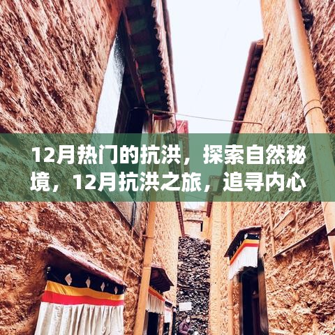 第1234页