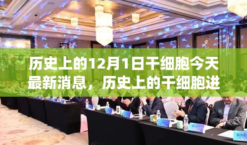 没精打采 第11页