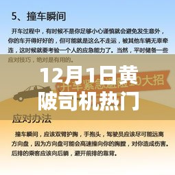 12月1日黄陂司机热门招聘信息汇总，行业分析与求职指南