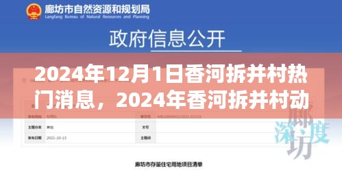 初告白 第9页
