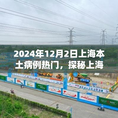 探秘上海小巷深处的独特风味，时光深处的特色小店（上海本土病例热门报道）