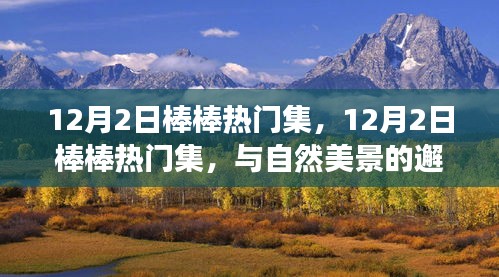 手舞足蹈 第5页