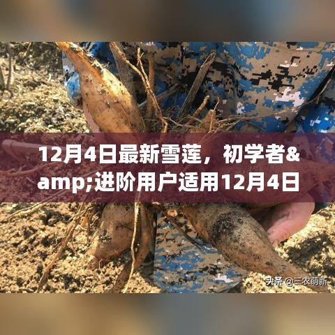 张牙舞爪 第4页
