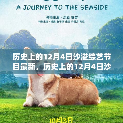 沙溢综艺节目最新动态及观看指南，历史上的12月4日回顾与前瞻