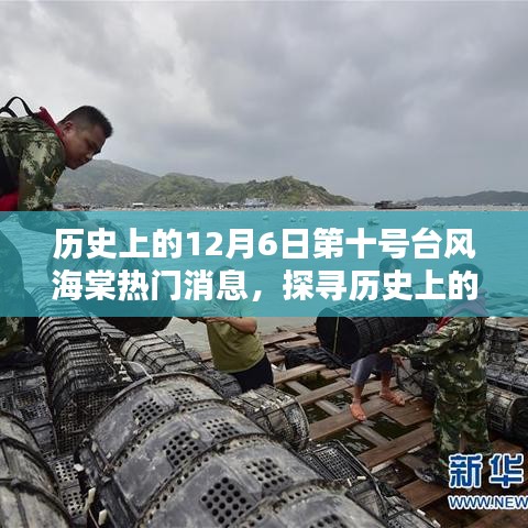 探寻历史上的台风海棠，海棠台风海棠热门消息与应对技能解析