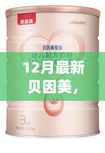 揭秘贝因美巷弄秘境，十二月特色小店探索之旅