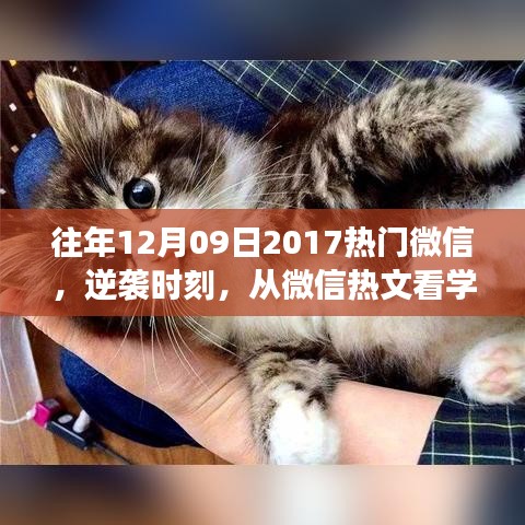 省吃俭用 第2页